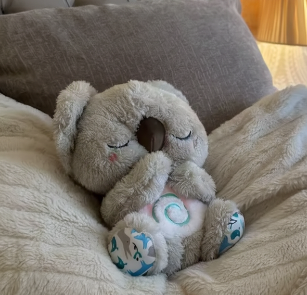 Cuddley Koala
